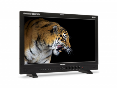 Flanders Scientific DM220