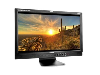 Flanders Scientific DM240